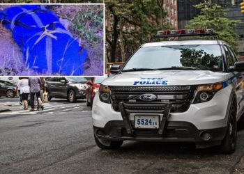 NYPD using distinct tattoos found on dismembered body in Queens to help ID victim