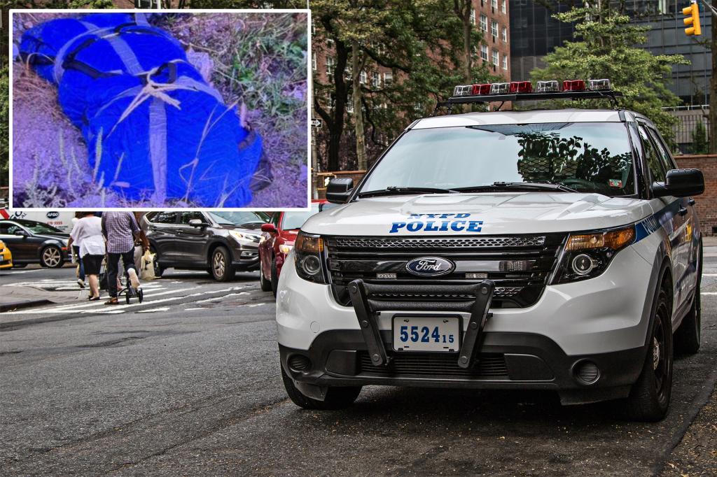 NYPD using distinct tattoos found on dismembered body in Queens to help ID victim