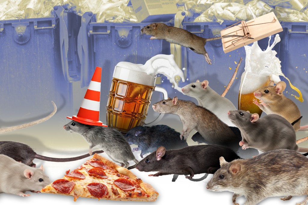 Collage of multiple rats, pizza, a beer mug, and trash cans.