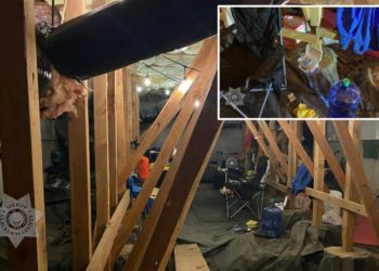 Oregon man discovered living inside tricked-out crawl space in quaint condo complex