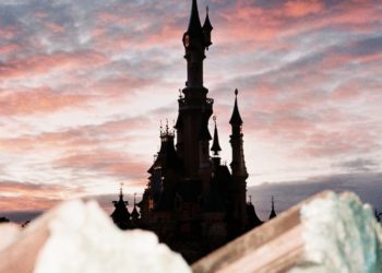 Paige Silveria’s ‘Daisies’ Lands at Dover Street Market Paris