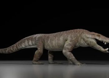 Paleontologists Just Found an Ancient Crocodile That Ate Dinosaurs