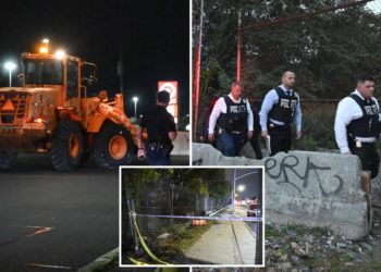 Partial skeletal remains, including human skull, found near NYC strip mall: cops