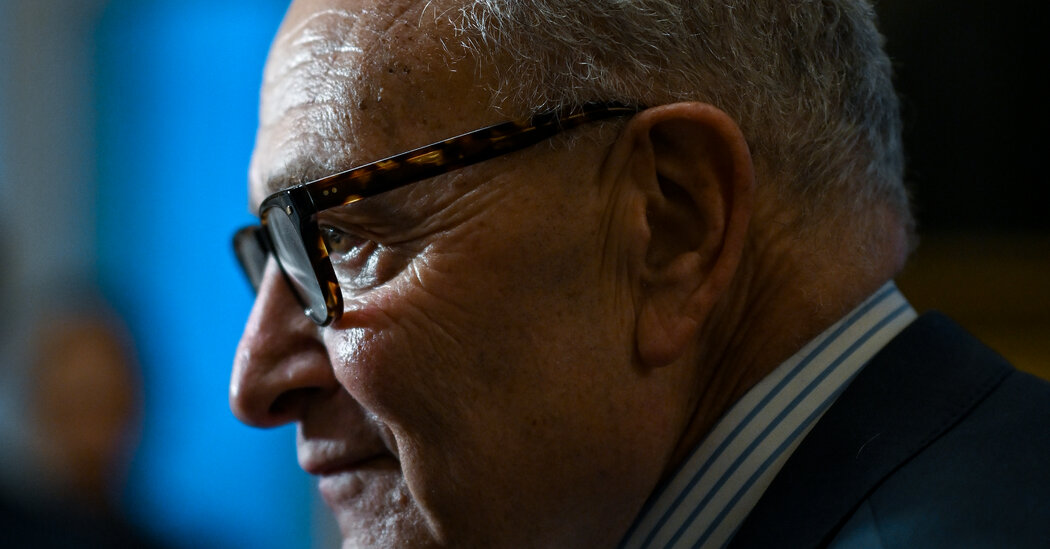 Schumer, Wary of Blowback, Holds Out on Mamdani