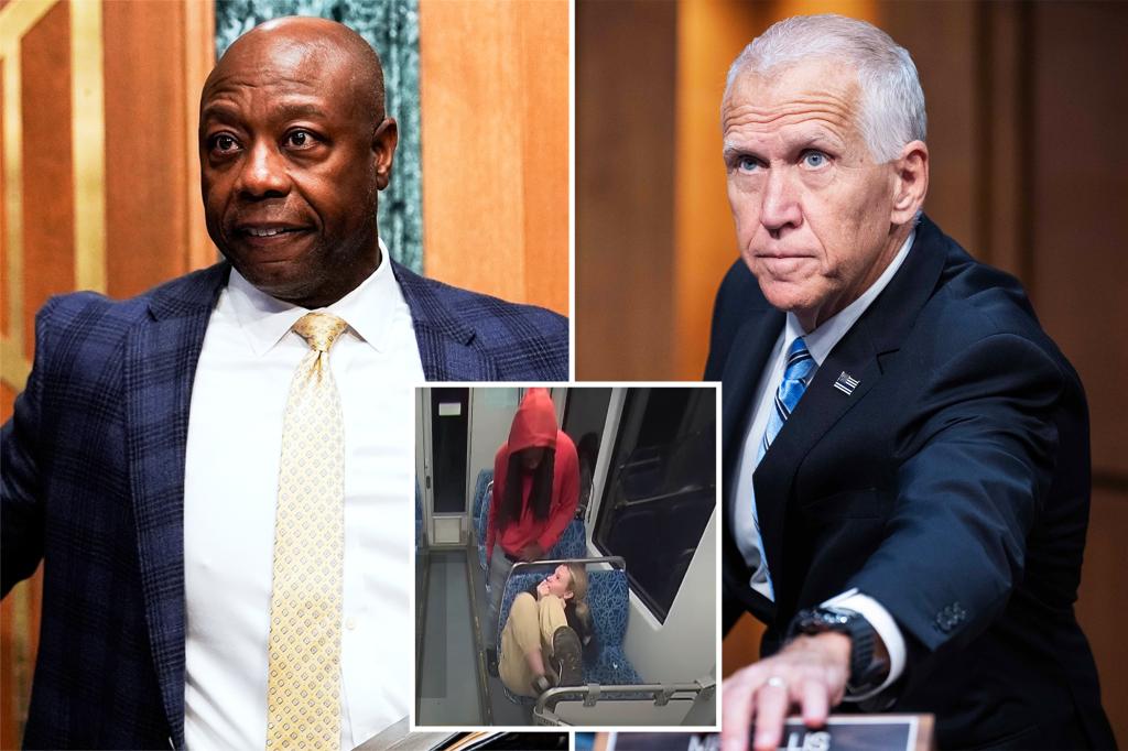 Senate GOP bill would form public transit violence task force after Iryna Zarutska’s murder on Charlotte train