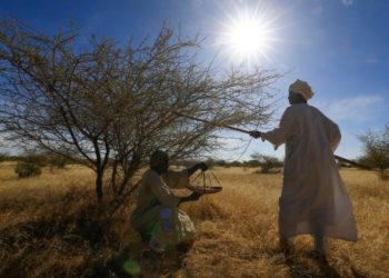 Sudan, Congo, and You