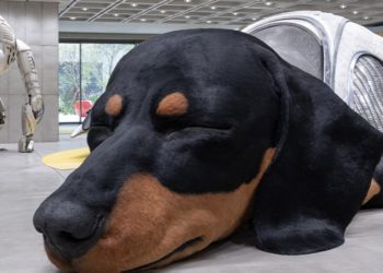 Take a Closer Look at HAUS NOWHERE SEOUL