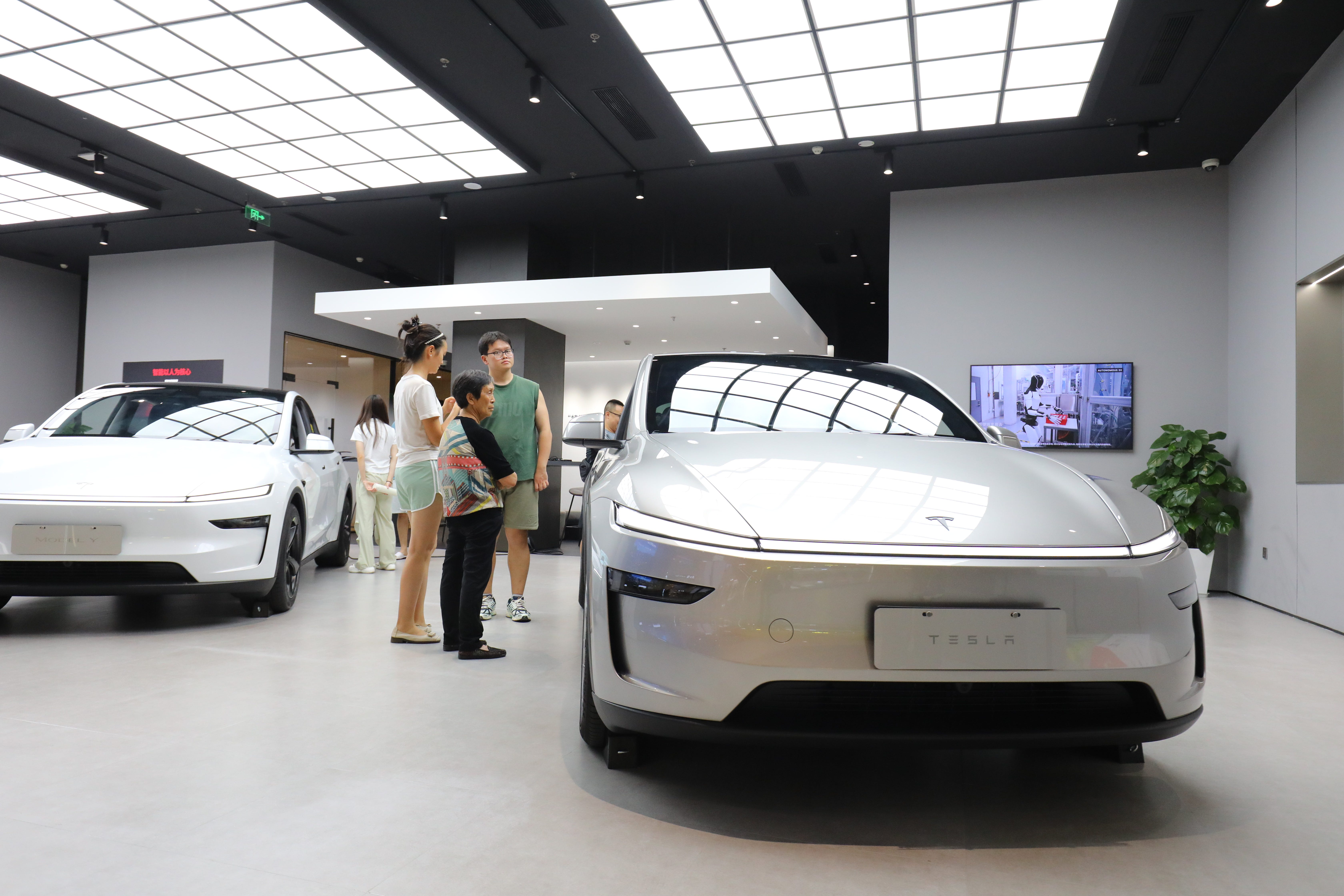 Tesla Model Y L