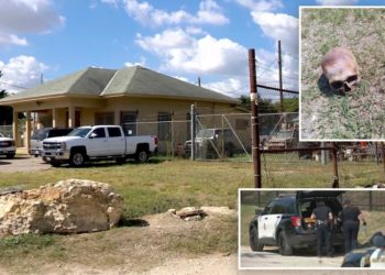 Texas plumber finds decomposed human skull he mistook for a ‘dried cantaloupe’ while mowing lawn