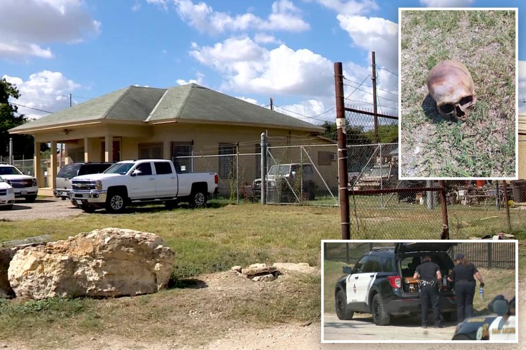 Texas plumber finds decomposed human skull he mistook for a ‘dried cantaloupe’ while mowing lawn
