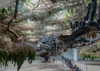 The Hypeart Guide to Frieze Seoul 2025