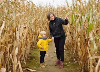The corn maze craze and why we love getting lost every fall