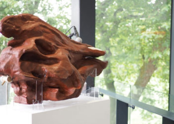 This Art Project Recreated Accurate Dinosaur Sounds With Weird Instruments