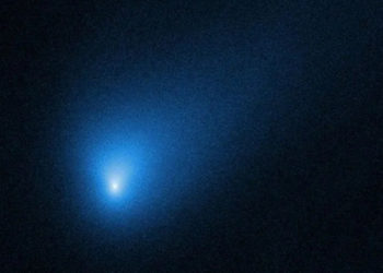 This Mysterious Object From Our Solar System Might Be a Planet-Making Seed