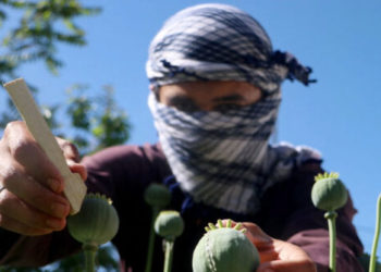 Trump Names Afghanistan, India, China, and 20 Other Nations Illegal Drug Threats