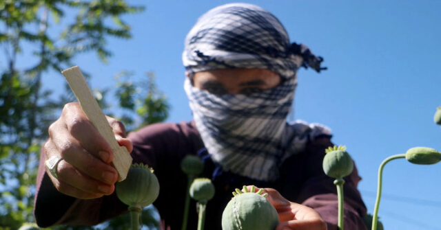 Trump Names Afghanistan, India, China, and 20 Other Nations Illegal Drug Threats