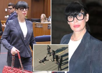 Weezer bassist’s wife Jillian Shriner to attend 2-year mental health program after firing at LAPD cops