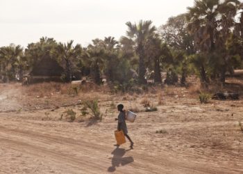 Why the World Turned on NGOs