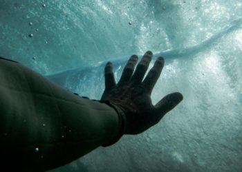 You Have Fingers Because a Prehistoric Fish Needed to Poop