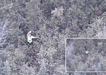 YouTube survival show contestant rescued after going missing for 18 hours in Michigan forest