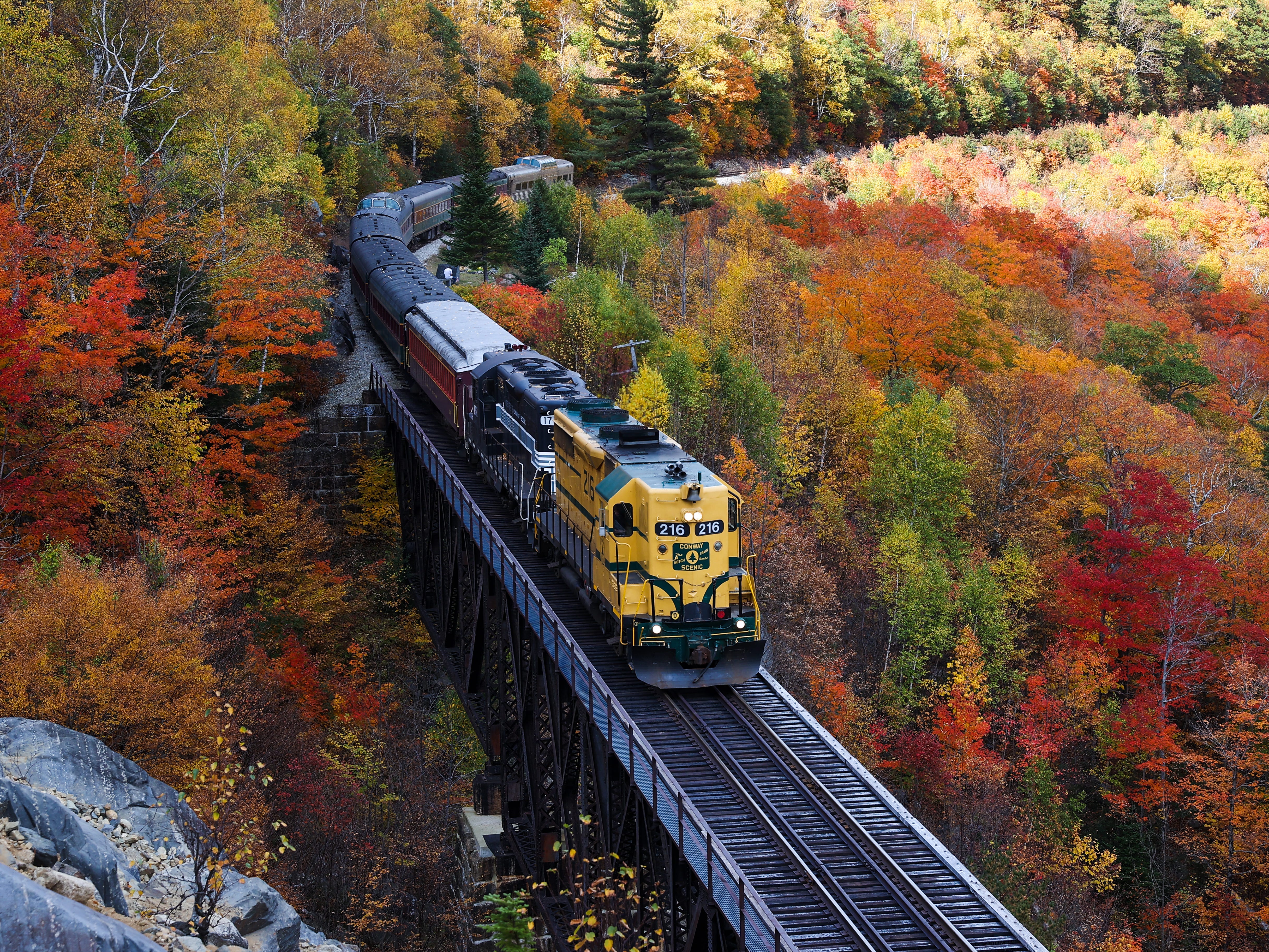 fall train