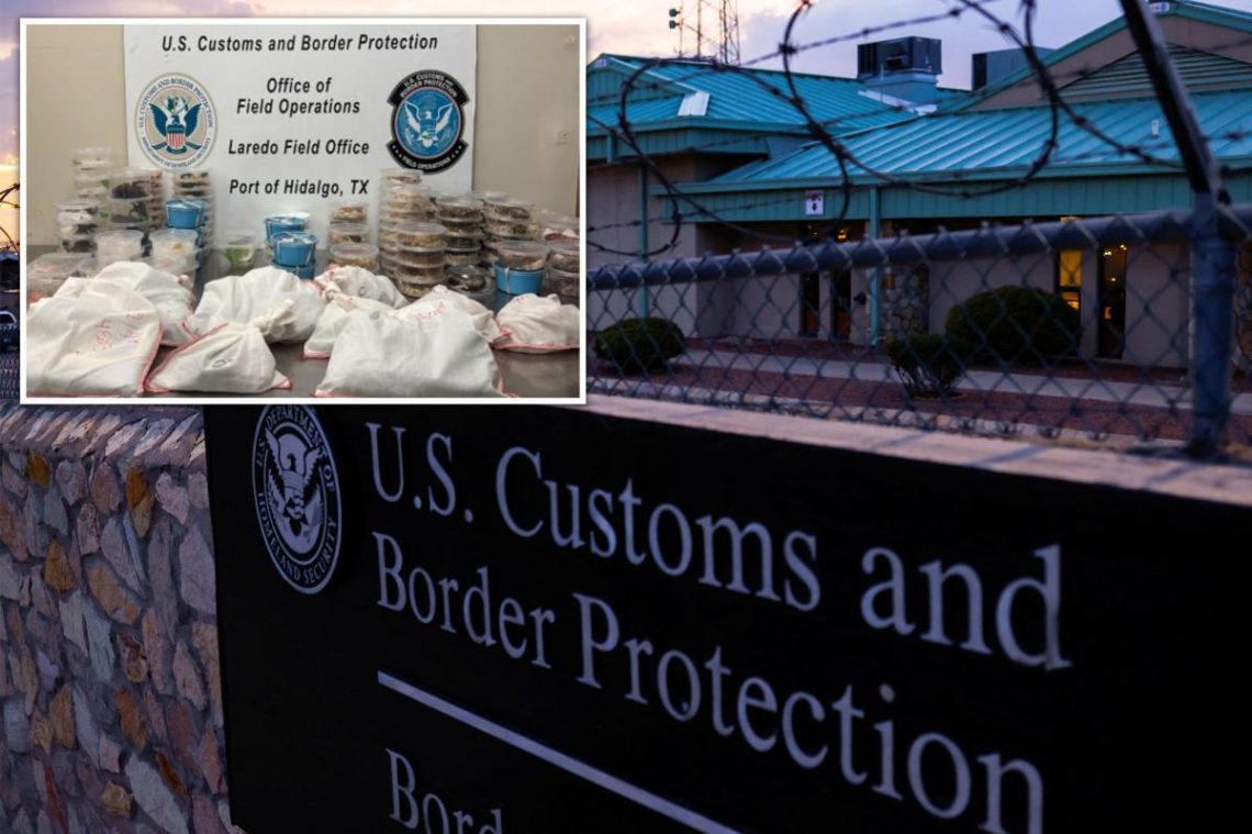 163 exotic reptiles and bugs packed into single truck confiscated at US-Mexico border in Texas