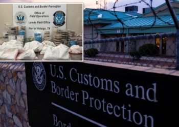 163 exotic reptiles and bugs packed into single truck confiscated at US-Mexico border in Texas