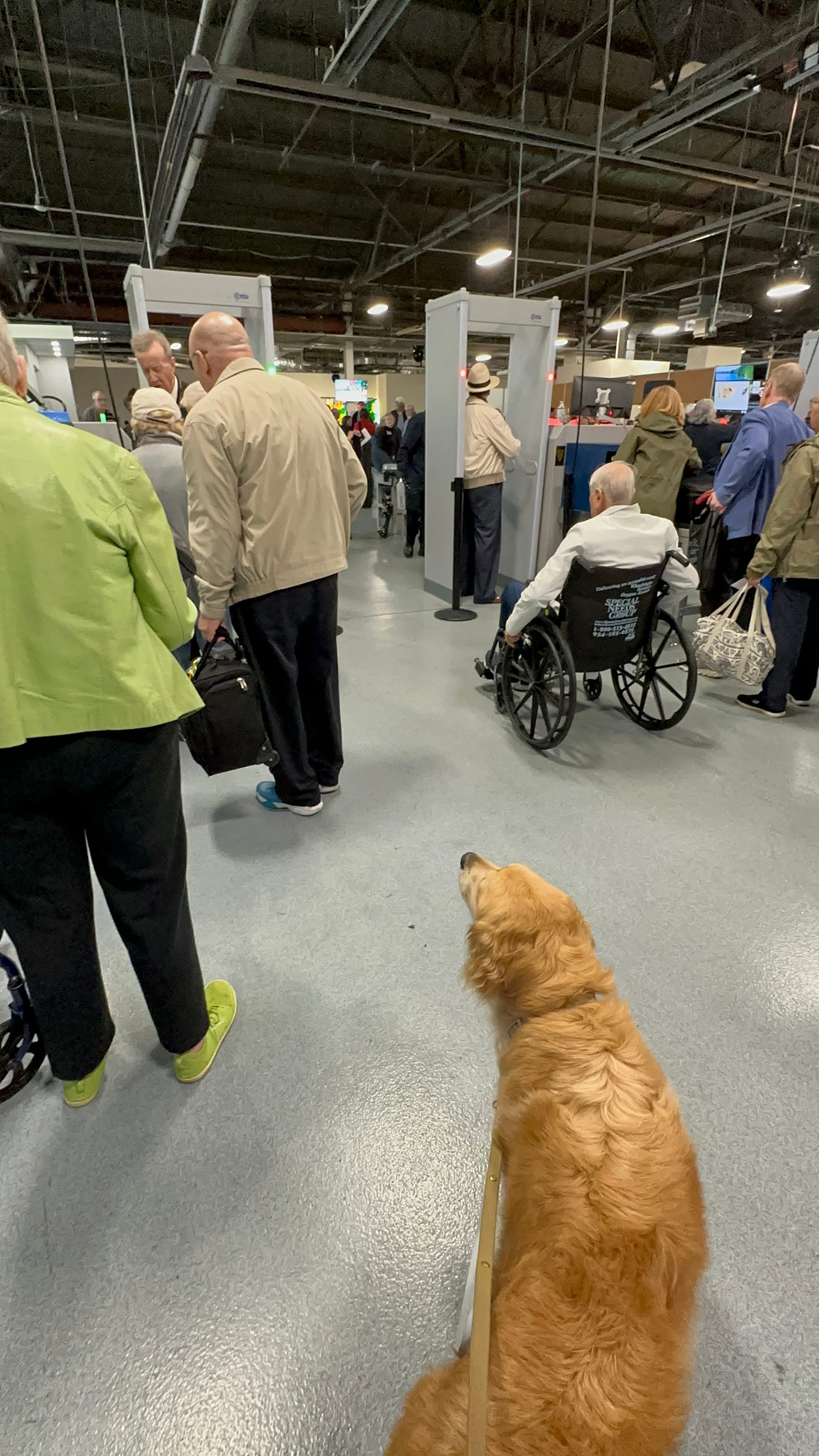 A dog watches as people go through security to get on a cruise.