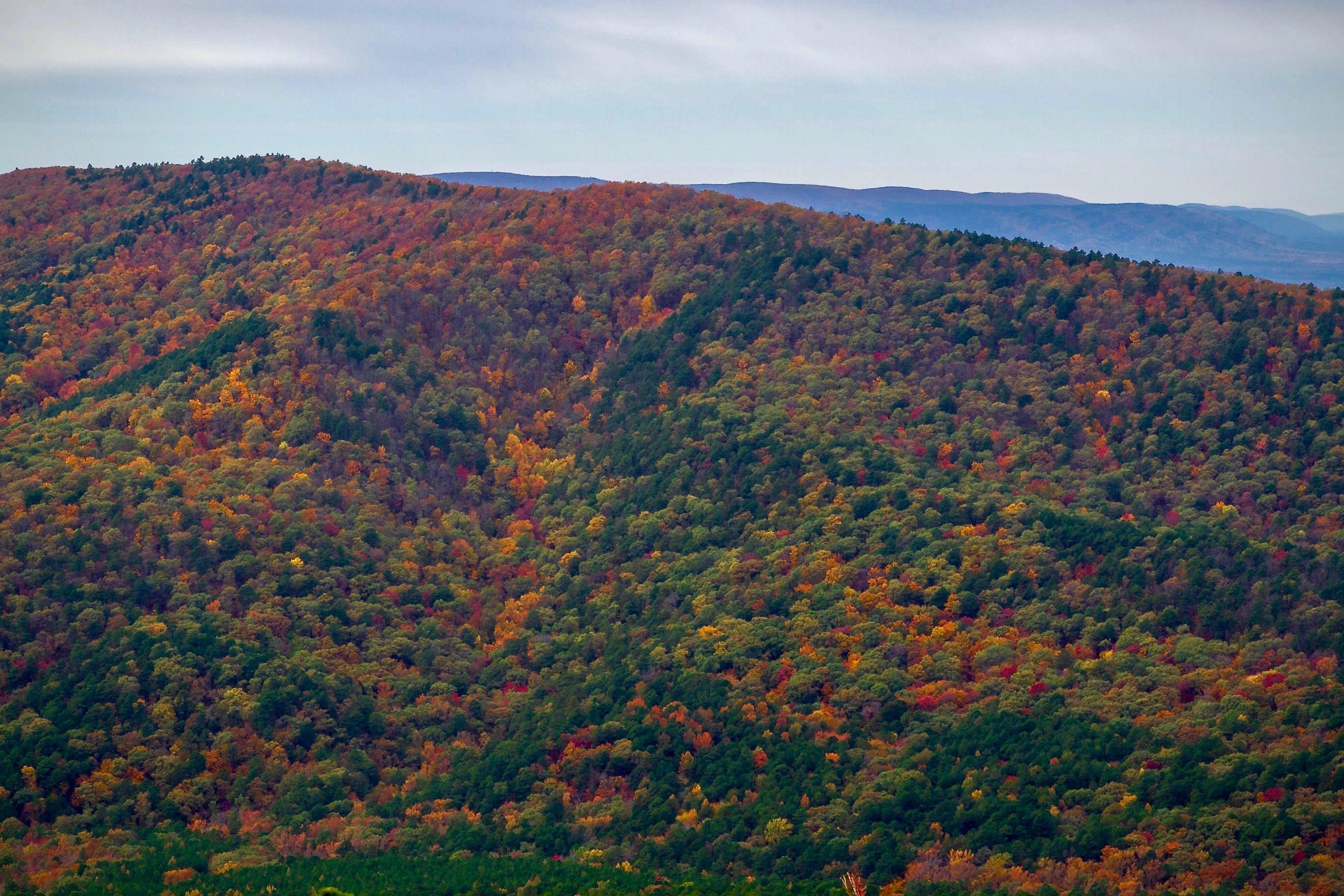 oklahoma fall