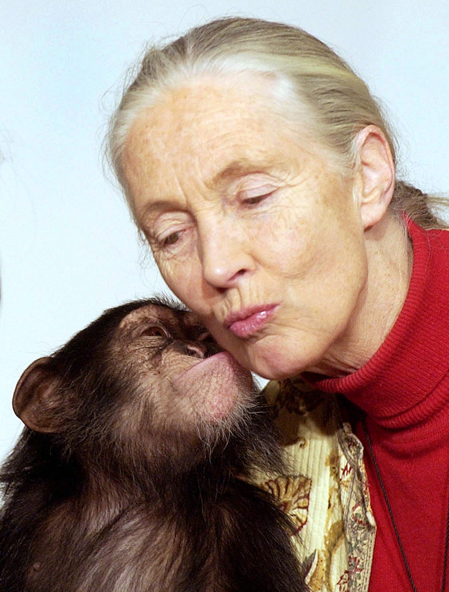jane goodall chimp kiss 2004