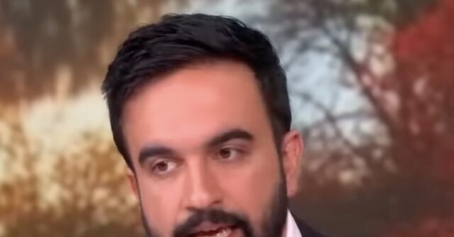 Mamdani: I’m Having Conversations ‘Individually with Officers’ After Calling NYPD Racist