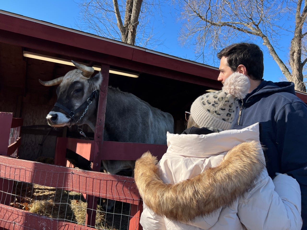Man and woman standing in front of donkey, wearing winter coat