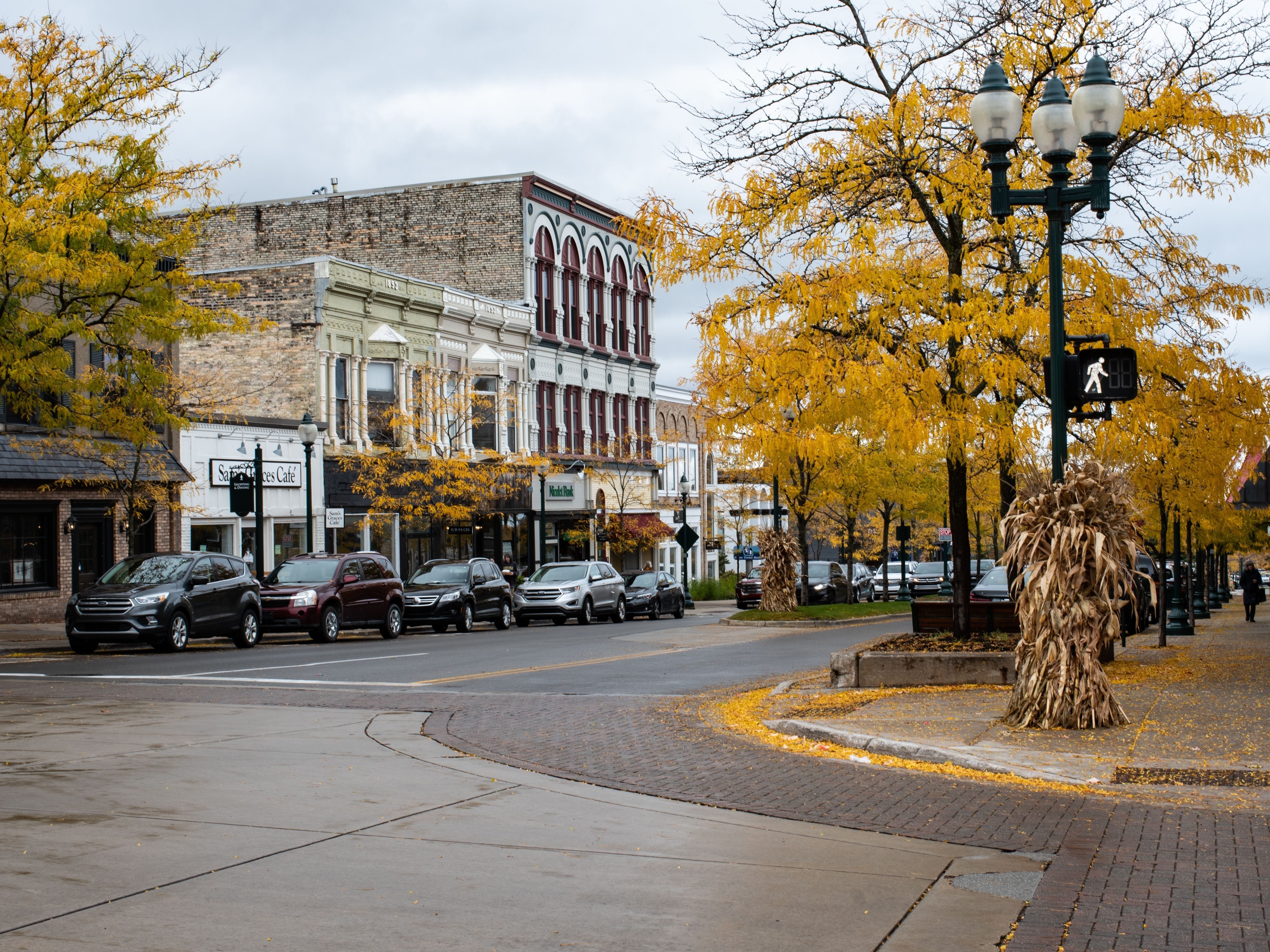 A downtown street decorated for fall with trees with orange leaves.