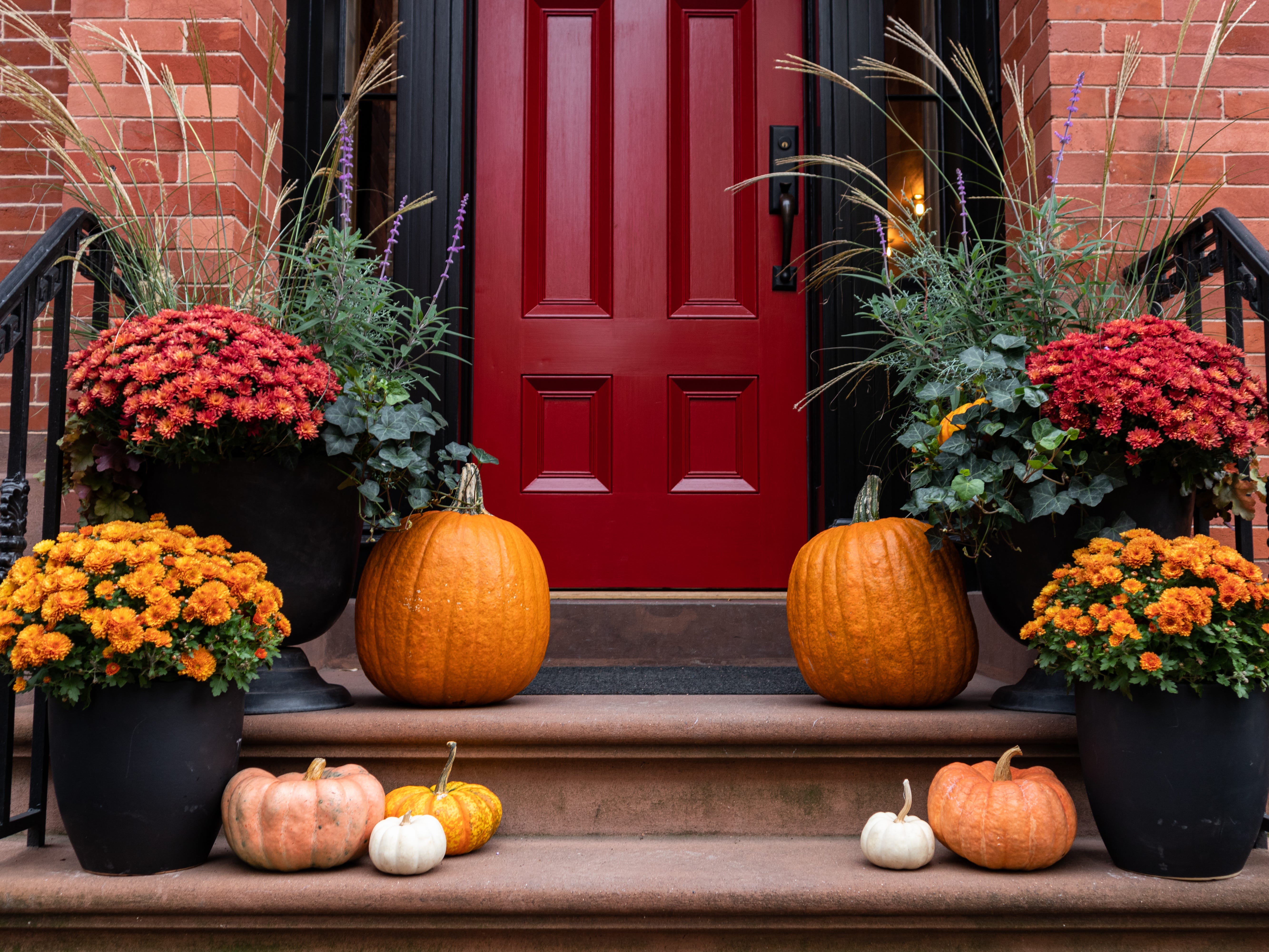 Colorful pumpkins and flowers decorative display on the stairs leading up to an old brownstone home in New York City during autumn