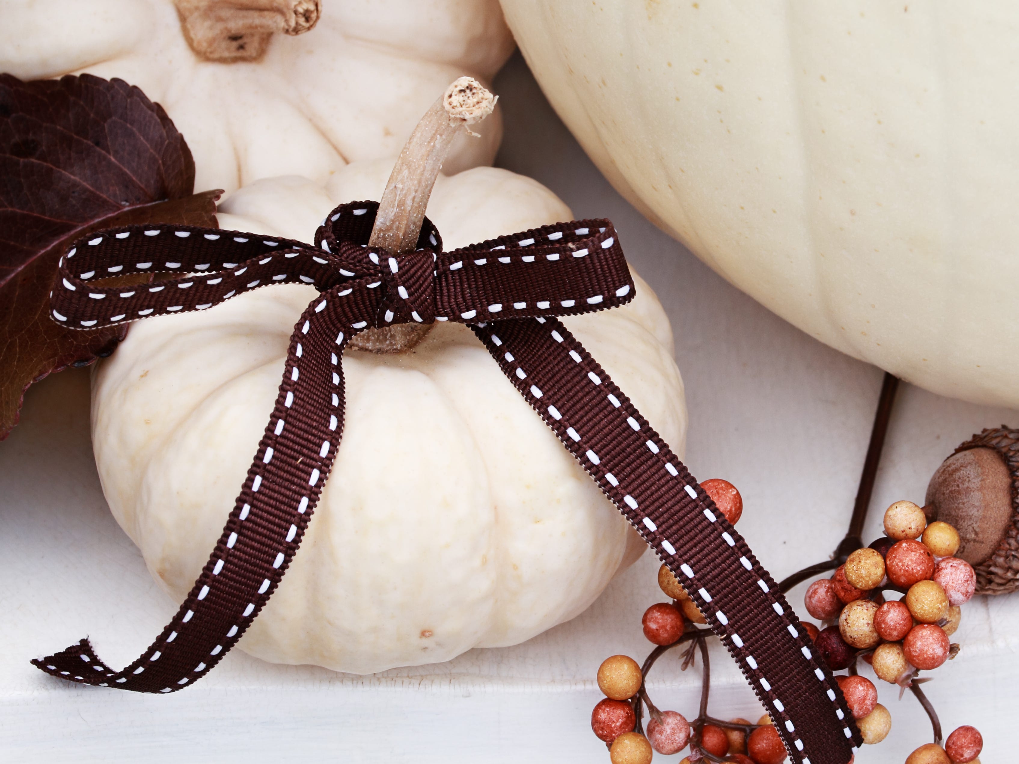 White pumpkin tied with a brown bow