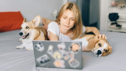 AHS 1st animal welfare organization in US to offer telehealth services for owned pets