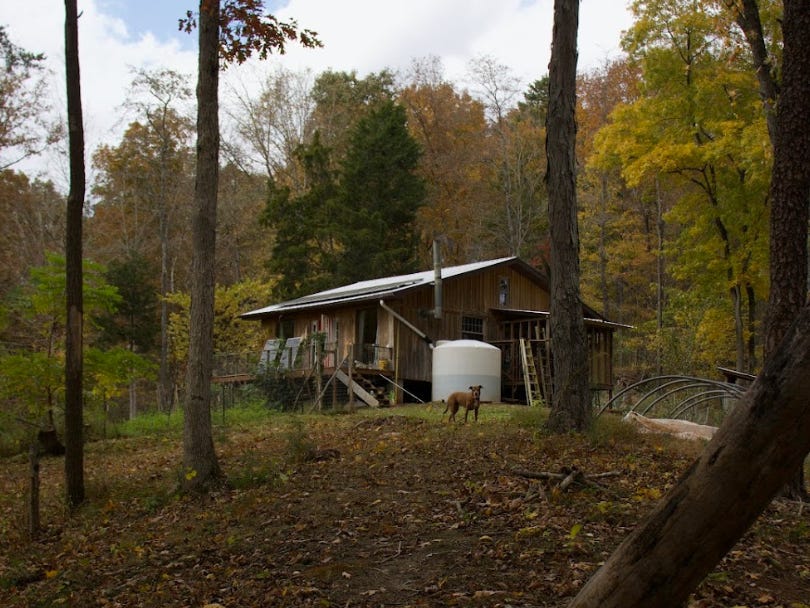 The writer's off-grid cabin in the fall.
