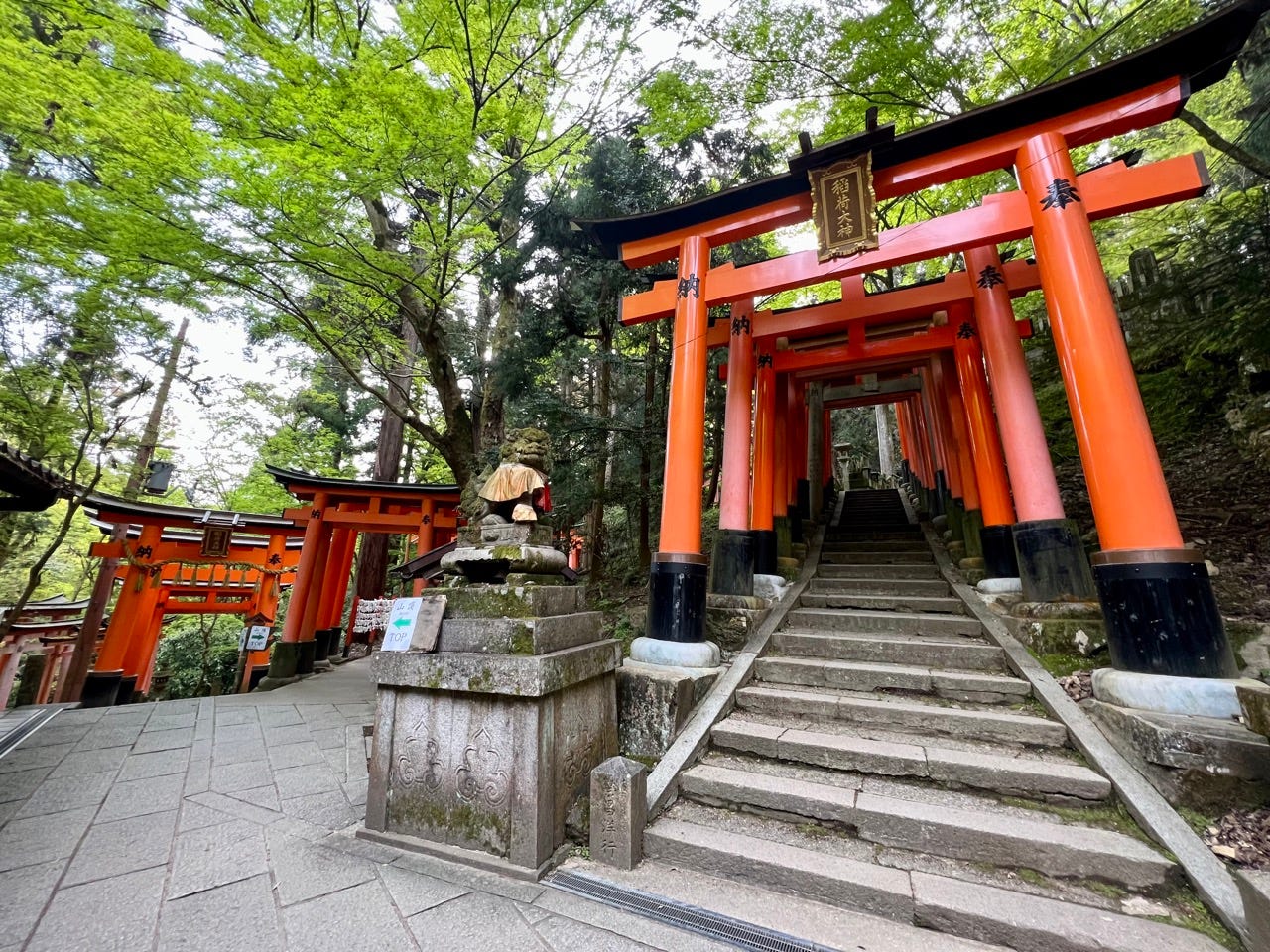 Fushimi Inari Taisha Shrine