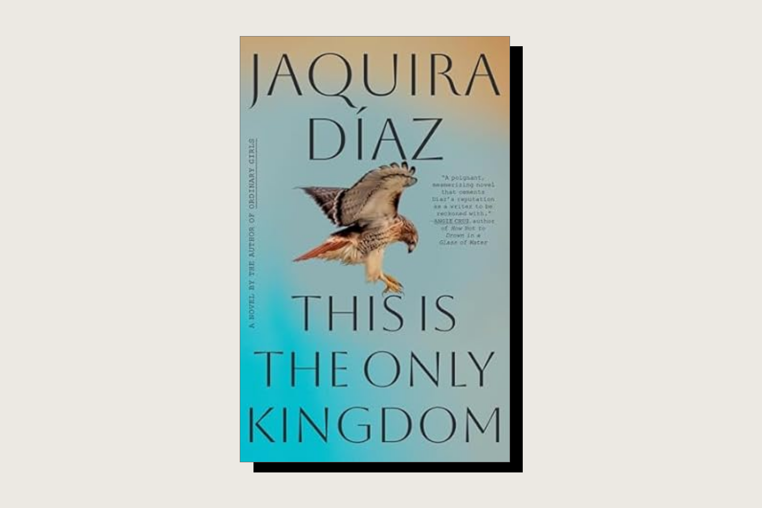 The book cover for This Is the Only Kingdom