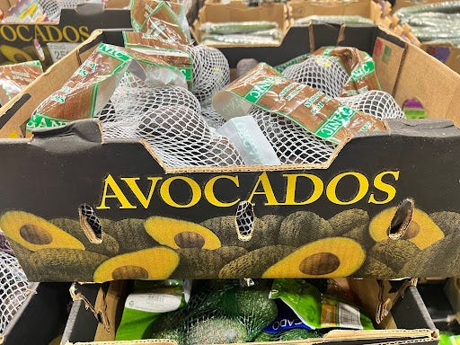 Avocados in mesh bags in box at Costco