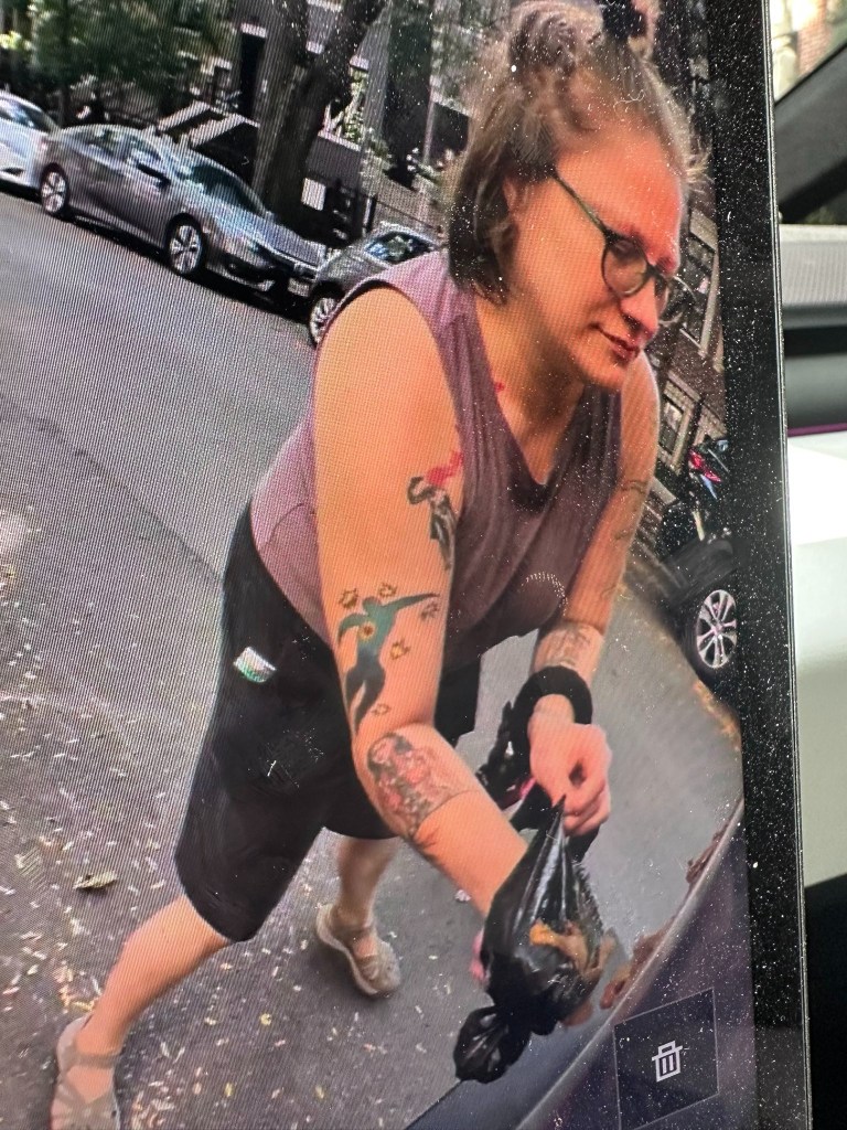 Woman rubbing dog poop on a Cybertruck.