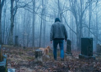 ‘Good Boy’ Fetches A Top IFC Opening As Canine Star Emotes Fear, Suspense Better Than Many Actors, Says Scott Shooman – Specialty Box Office