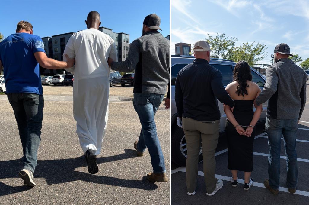 ‘Minnesota nice’ enabled immigration fraud to flourish in Twin Cities for decades, ex-sheriff says: ‘It’s all about votes’