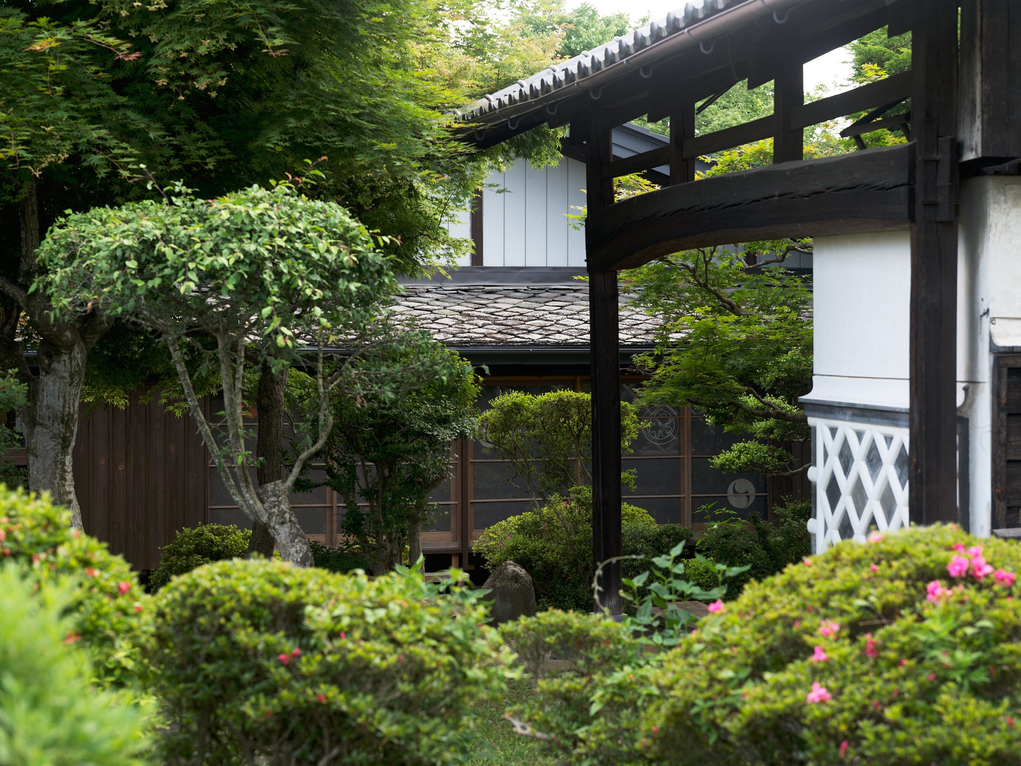 The outdoor garden.