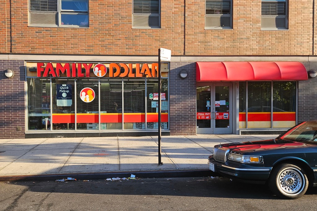 Dollar Store at 12430 Flatlands Avenue in East New York