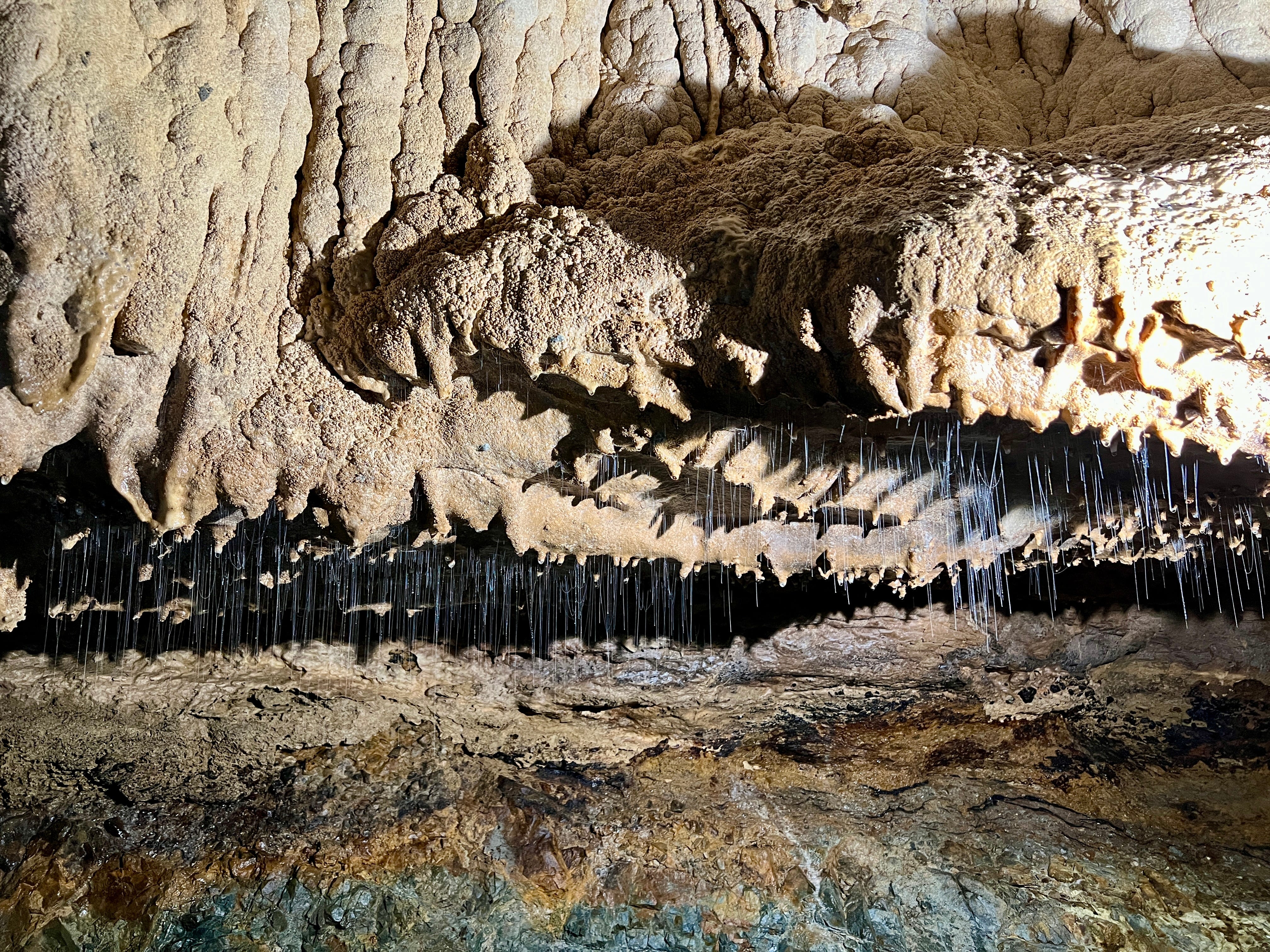Cave with glow worms hanging from top