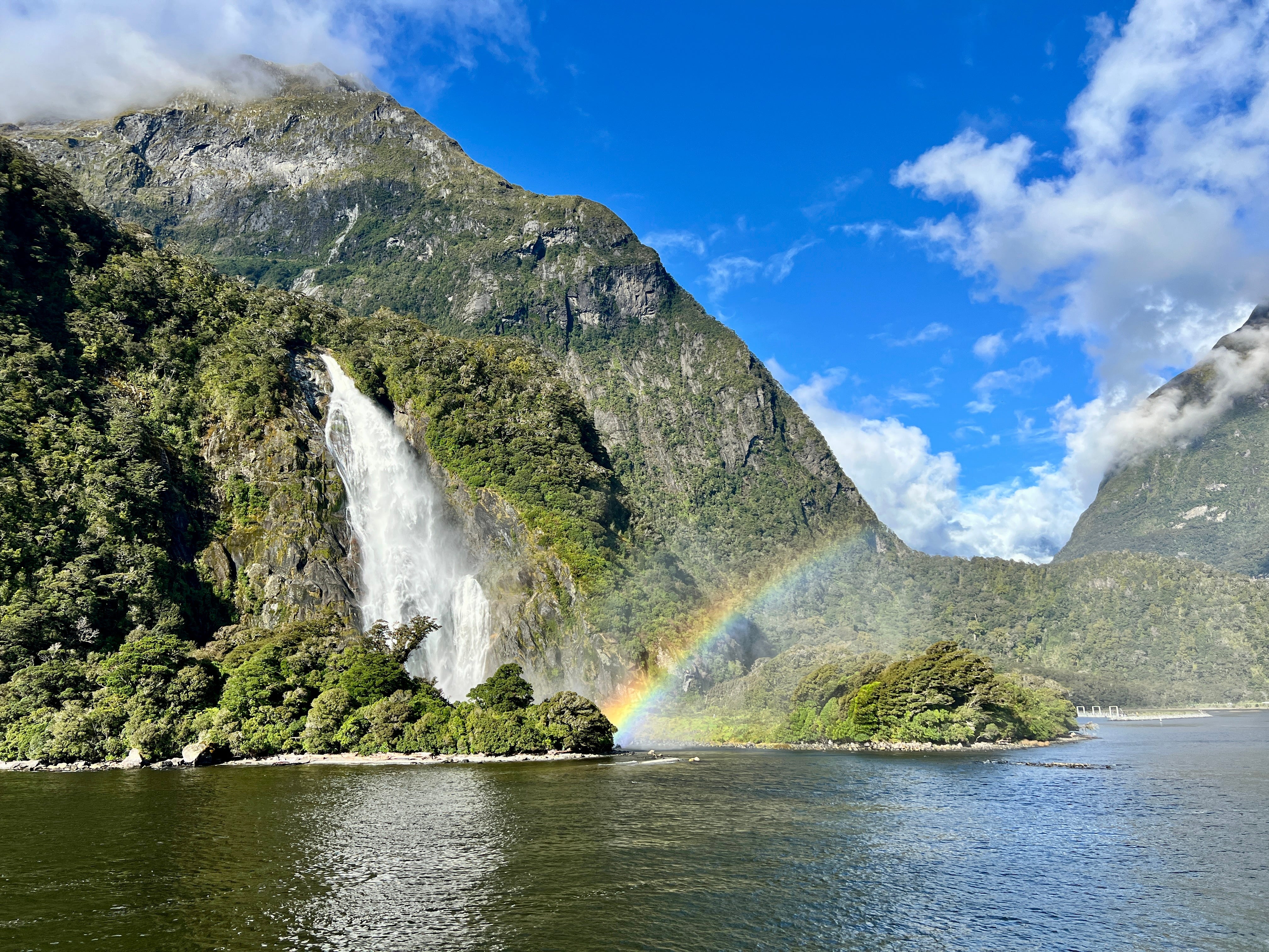 Rainbow in front of greenery-covered cliffs next to body of water in Milford Sound