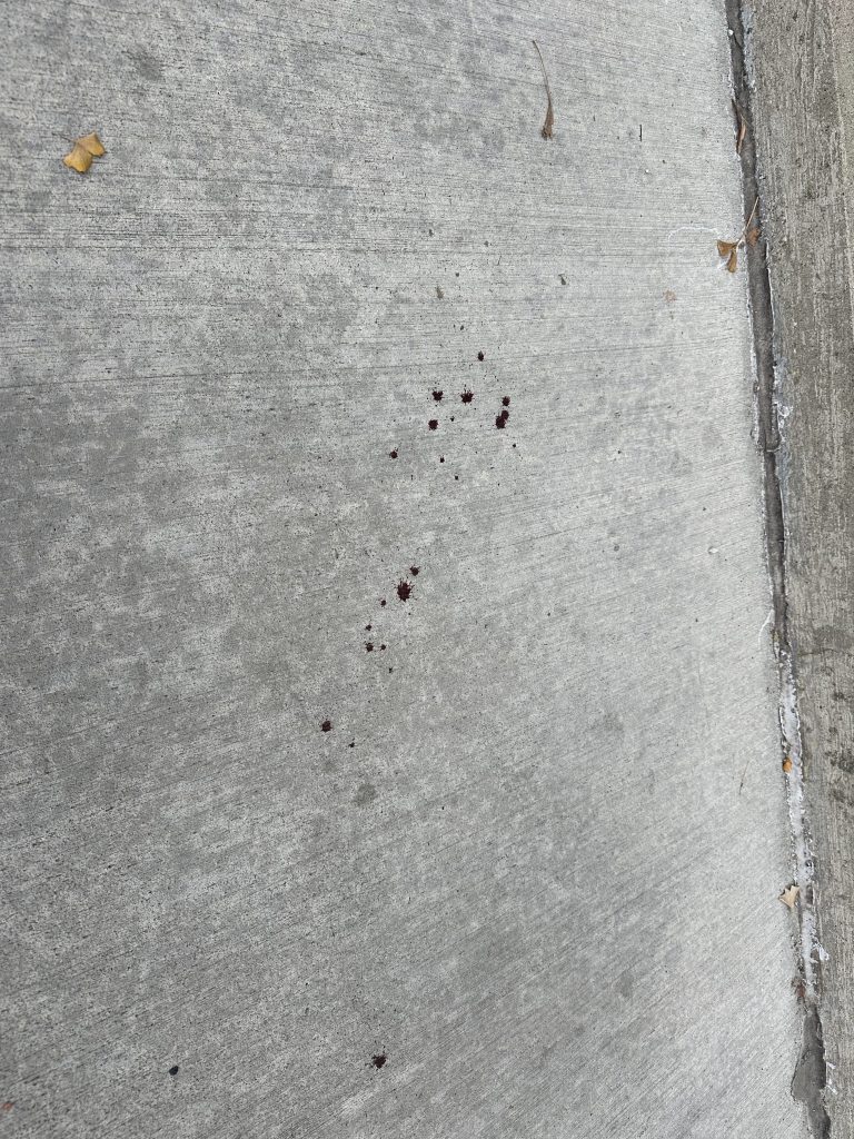 Blood spots on a concrete surface.