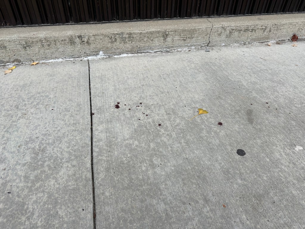Blood splatters on a concrete sidewalk.