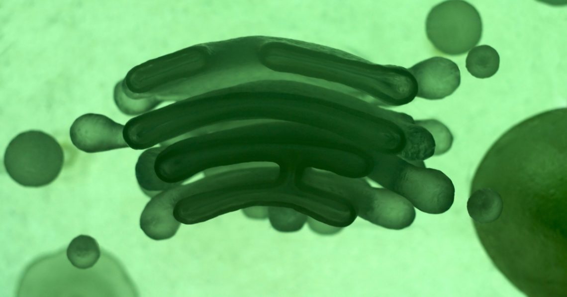 ‘Alien’ DNA May Exist Within Humans, Genetic Study Claims